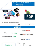 Clase - Iii - Aminas 2