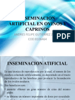 Inseminacion Artificial en Ovinos y Caprinos