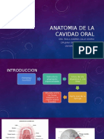 Anatomia de La Cavidad Oral PDF