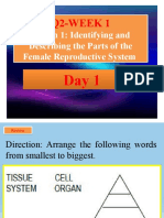 Lesson 1: Identifying and Describing The Parts of The Female Reproductive System