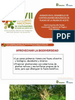 Controladores Biologicos Congreso Palmero 2019 Bustillo