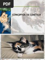 Conceptos de Genetica