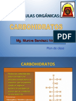 CARBOHIDRATOS