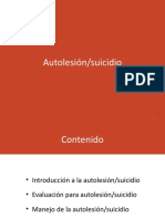 9 Suicidio PowerPoint