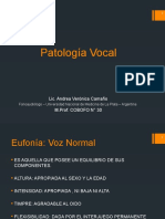 Patologia Vocal Disfonias