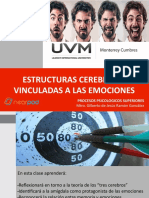 Estructuras Cerebrales Vinculadas Emociones