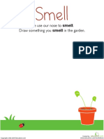 Smell: We Use Our Nose To Smell. Draw Something You Smell in The Garden