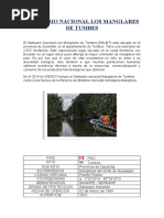 Informe de Los Manglares de Tumbes