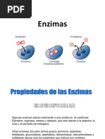 6.2 Enzimas