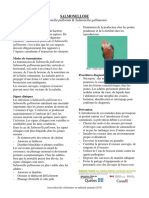 Salmonella Pullorum Et Gallinarum PDF