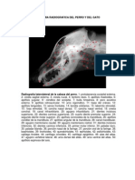 (Medicina Veterinaria) Anatomia Radiografica Del Perro y Del Gato