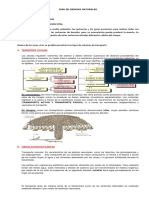 Circulacion en Plantas