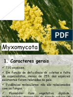 Myxomycota