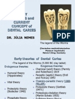 Caries Theory PDF