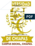 Universidad de Chiapas