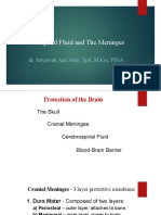 Cerebro Spinal Fluid and The Meninges: Dr. Setyawati Asih Putri, SPS, M.Kes, Fina