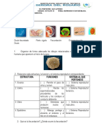 TALLER Grado 8° D Reproduccion HUMANA