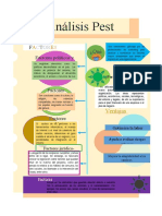 Infografia Johanna Pinta Imagen