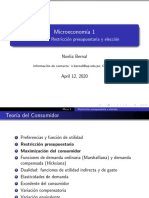 Restricción Presupuestaria y Elección