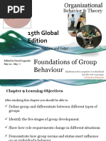 Foundation of Group Behaviour S