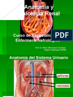 Anatomia Sistema Urinario