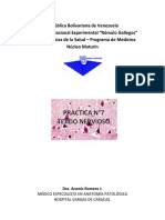 Guía Práctica, N°7, Tejido Nervioso PDF