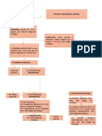 Esquema de Procedimiento Ordinario Laboral Maria Jose Paez Vargas