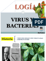 Bacterias y Virus PDF