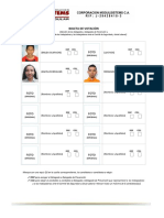 Formulario-4.-Boleta de Votación