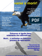 Aguila - Renovacion