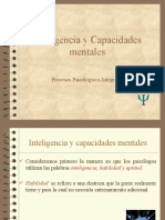 Inteligencia y Capacidades Mentales 2015