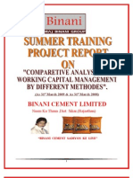 Final Project of Binani Cement DOC 2003