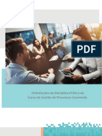 Manual de Pratica em Processos Gerenciais Fael