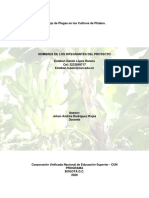 Manejo de Plagas en El Cultivo de Platano 2 PDF