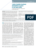 Genetic Association Study of Putative Functional Single Nucleotide Polymorphisms of Genes in Folate Metabolism and Spina Bifida