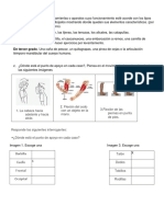 Solucion Actividad Palancas