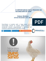 Estrategias en El Proceso de Vacunación de Las Aves