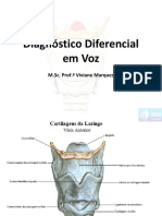 Diagnóstico Diferencial Voz