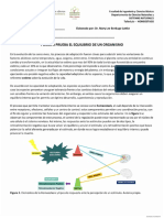 SN12.2.Taller Homeostasis MLB en Casa PDF