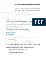 Observa El Entorno Donde Vives y Describe en Tu Cuaderno Que Elementos Naturales Se Encuentran Presentes