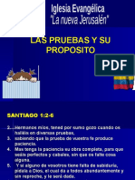 El Proposito de La Prueba