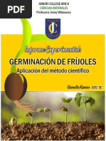 Germinación de Fríjoles (Aplicación Del Método Científico)