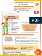 Mapa Renal