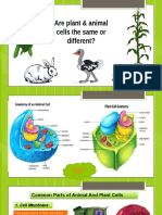 Are Plant & Animal Cells The Same or Different?