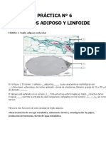 Práctica 6. Tejidos Adiposo y Linfoide. Ejercicios