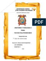 Monografia Neurotransmisores