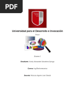 PDF Documento