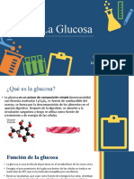 La Glucosa - Exposicion Biologia