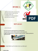 SENASAG IBNORCA Grupo 1