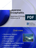 Japanese Encephalitis Japanese Encephalitis